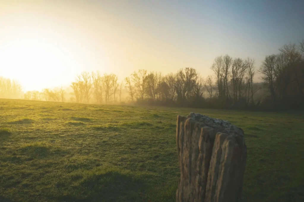 transition plan not finish line Sunrise breaking over a misty green field, with a line of trees along the far edge.